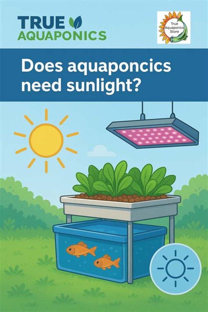 Does Aquaponics need sunlight