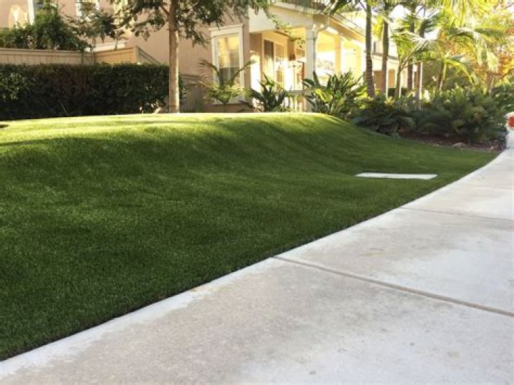 Does artificial grass add value to house