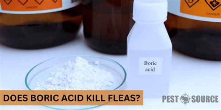 does boric acid kill fleas
