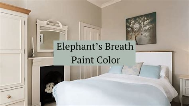 ,Does elephants breath go with grey?,Elephant’s Breath with its hint of magenta will read as a warm