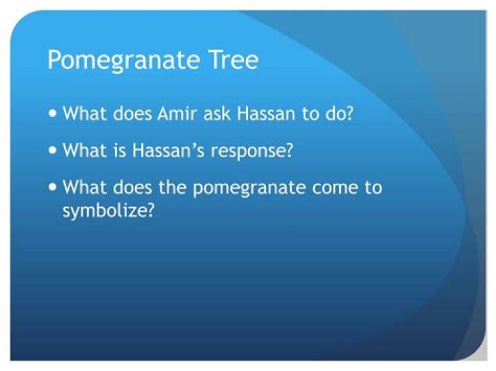 Does Hassan know Amir saw