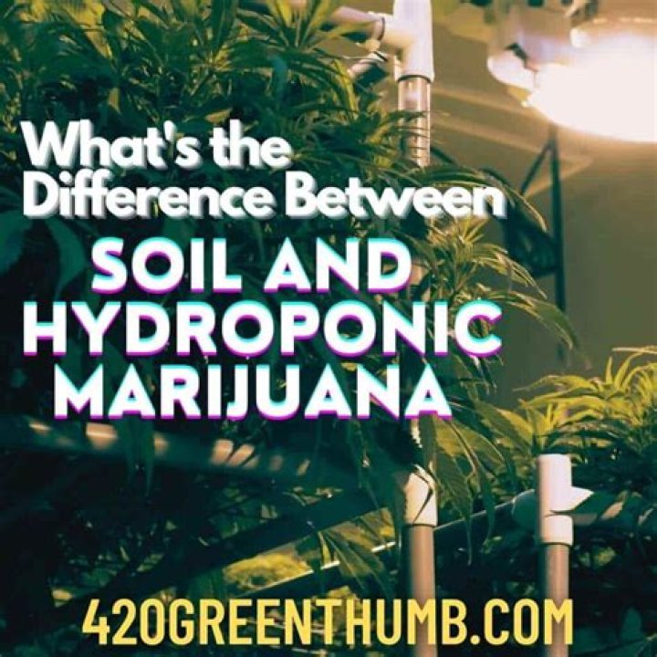 Does Hydro yield more than soil
