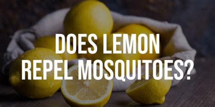 does lemon repel mosquitoes