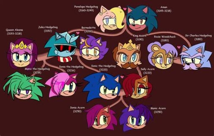 Does Sonic have family size