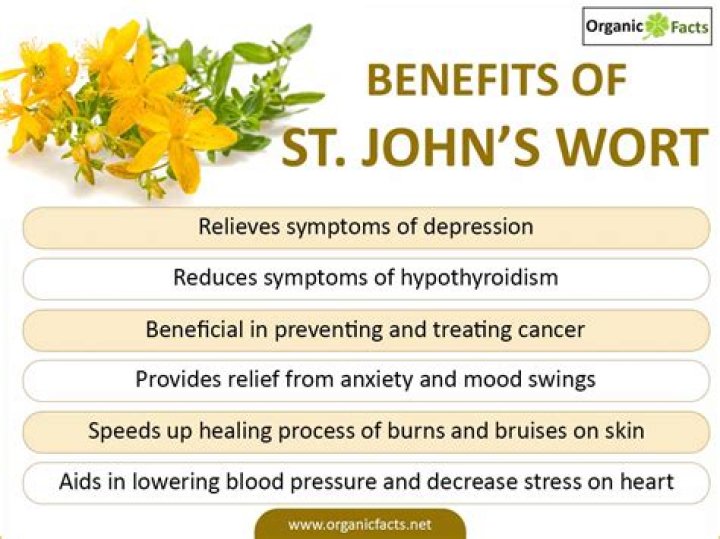 Does St Johns Wort increase estrogen