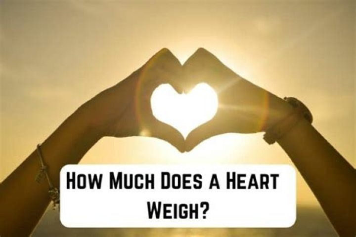 Does the heart weigh a pound?