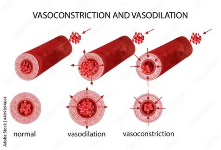 does vasoconstriction increase blood pressure