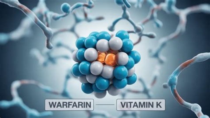 Does vitamin K interfere with warfarin