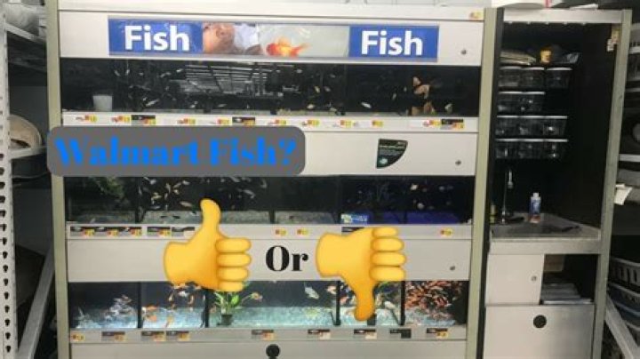 does walmart sell fish