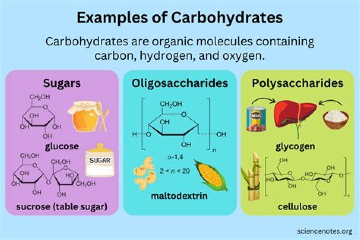 Does water contain carbohydrates?