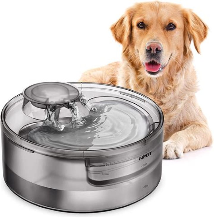 dog water dispenser