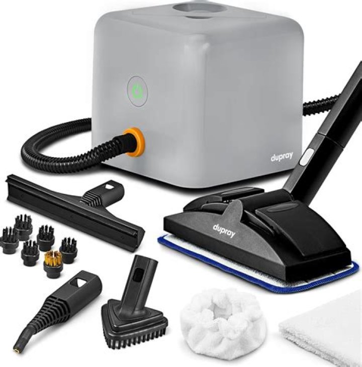 dupray steam cleaner