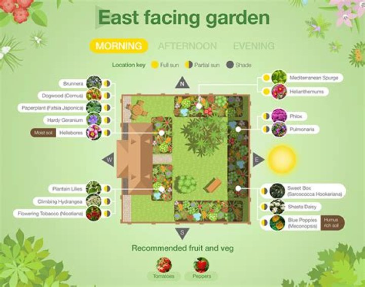 east facing garden