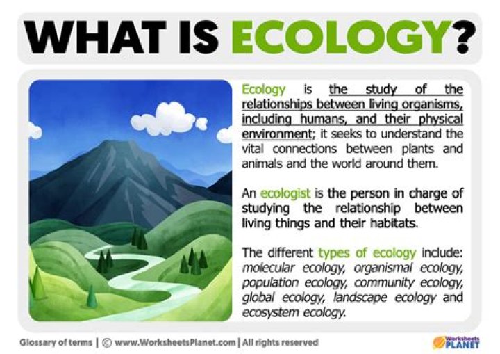 ecologist meaning