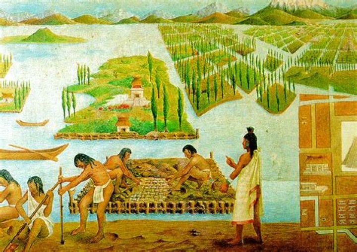 en qué consistían las chinampas aztecas