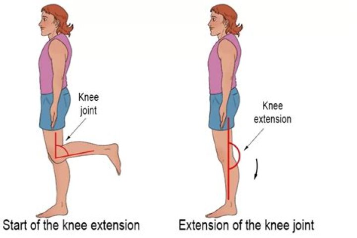 example of extension