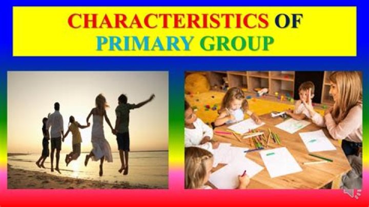 example of primary group