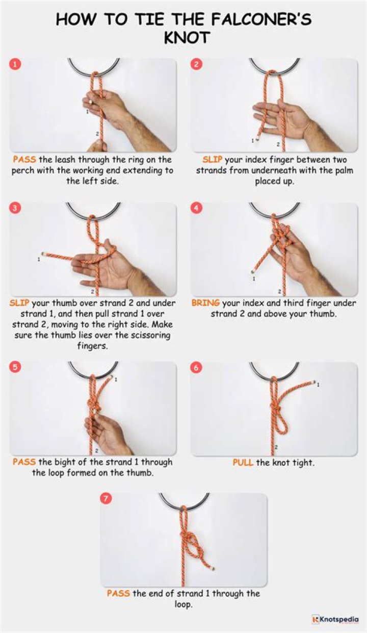 falconers knot