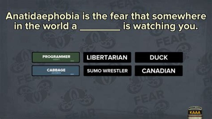 fibbage