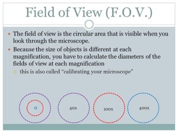 field of view microscope definition