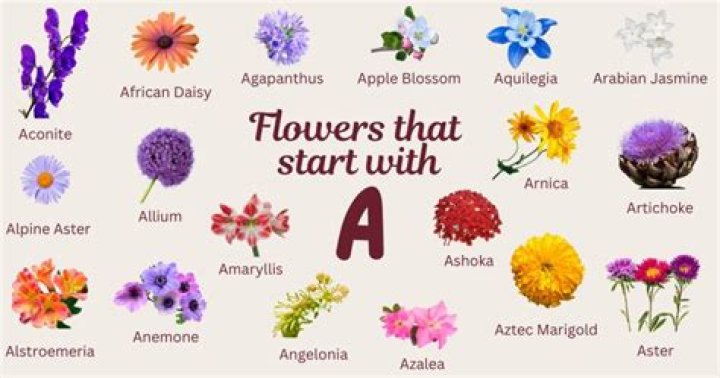 flowers beginning with a