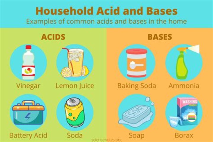 foods that are bases