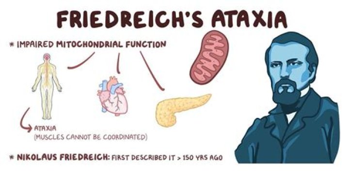 friedreich’s ataxia life span