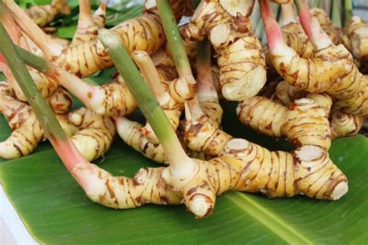 galangal substitute