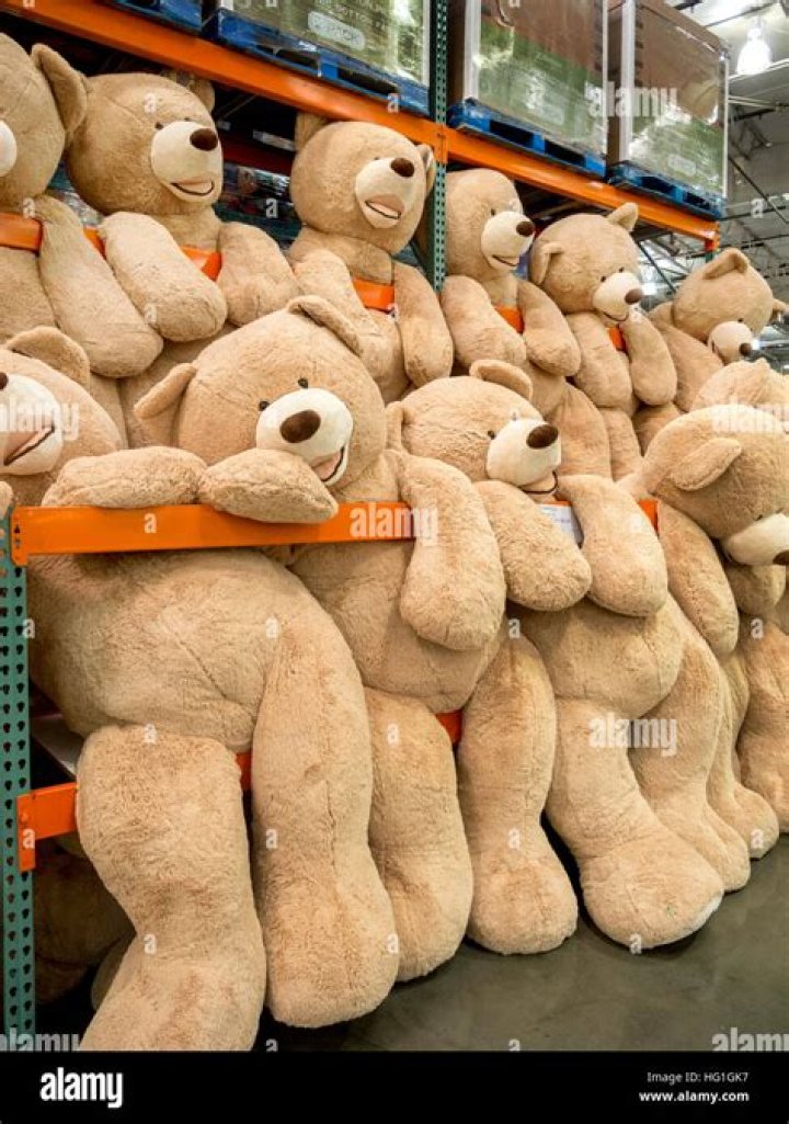 giant teddy bears costco price