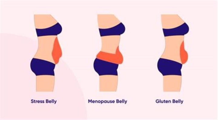 gluten belly