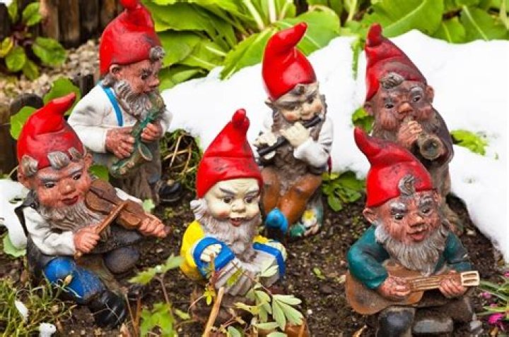 gnomes meaning