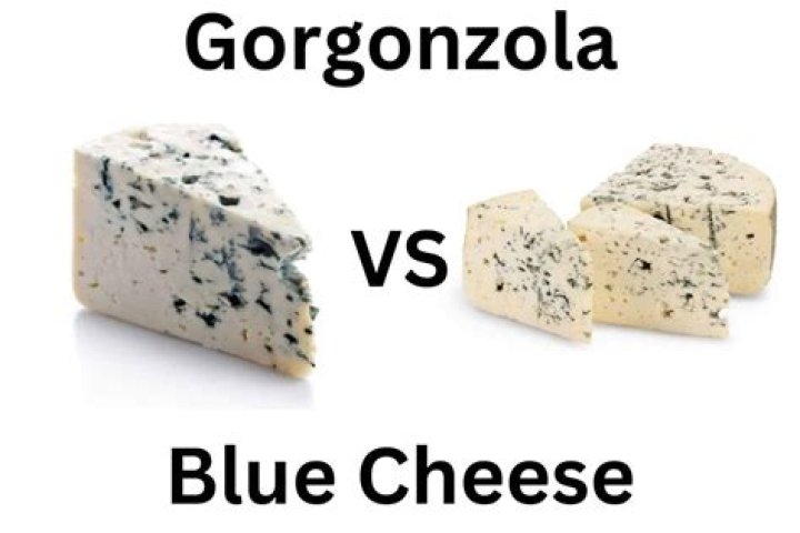 gorgonzola vs blue cheese