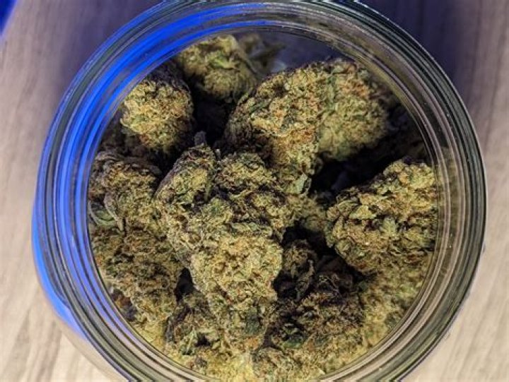 gorilla glue weed