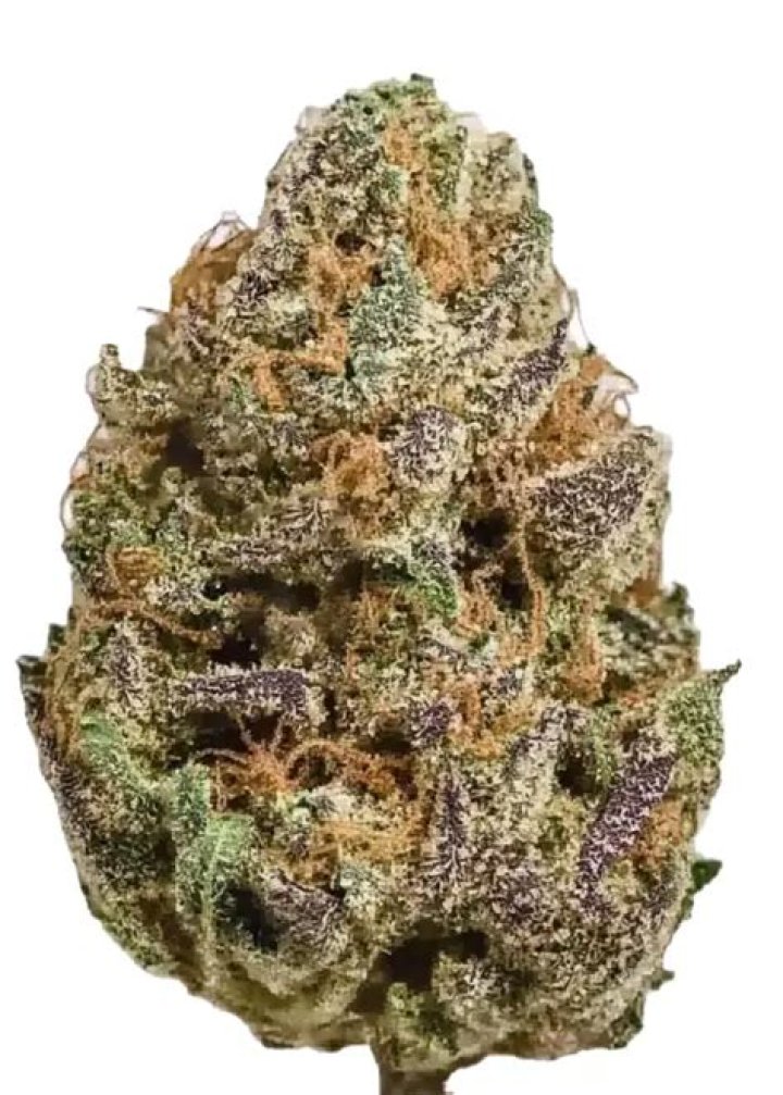 grape stomper strain