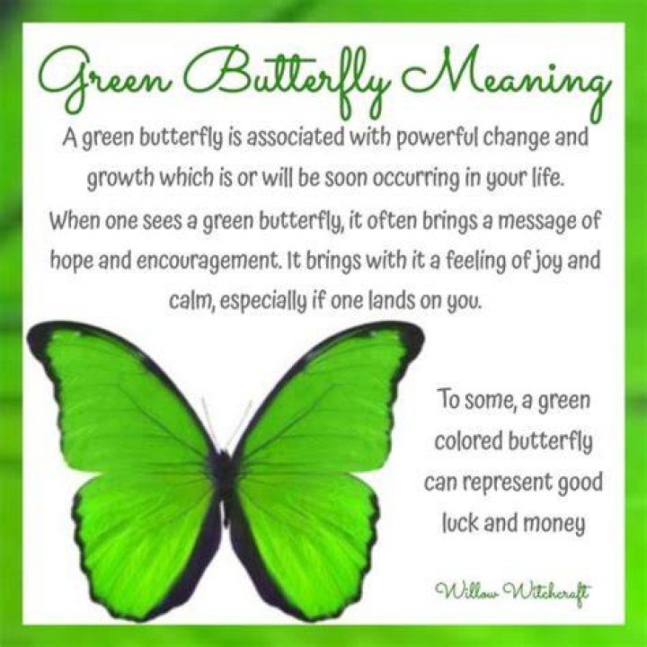 green butterfly meaning