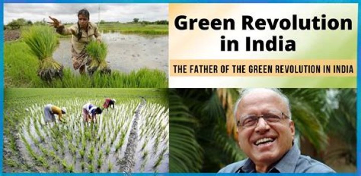 green revolution is criticized by some because