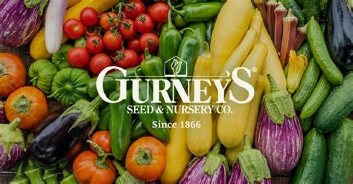 gurney seeds