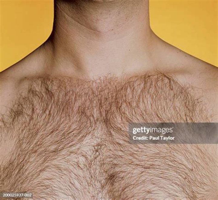 hairy chest