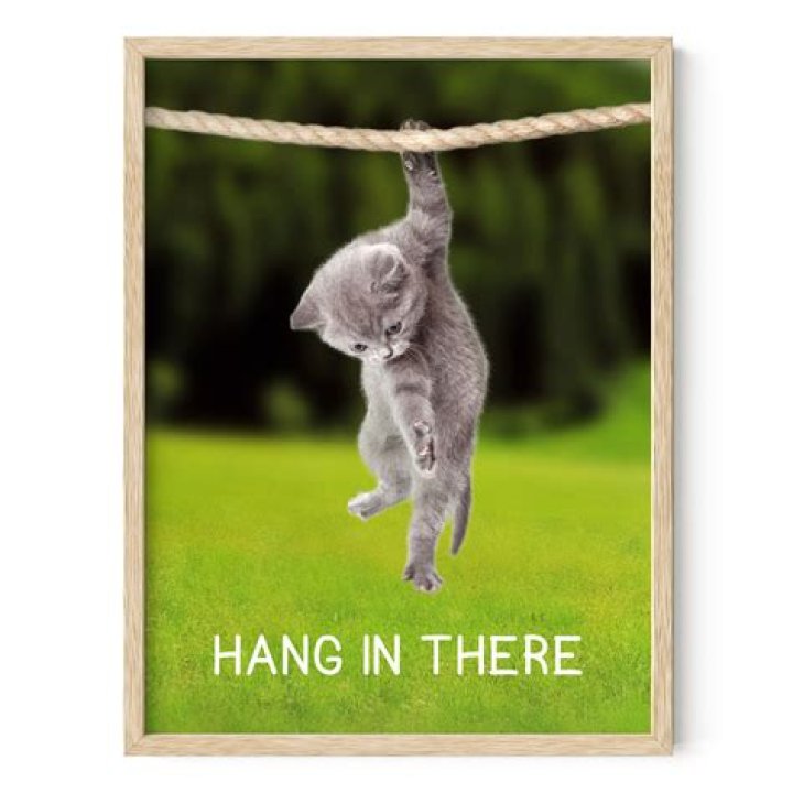 hanging in there