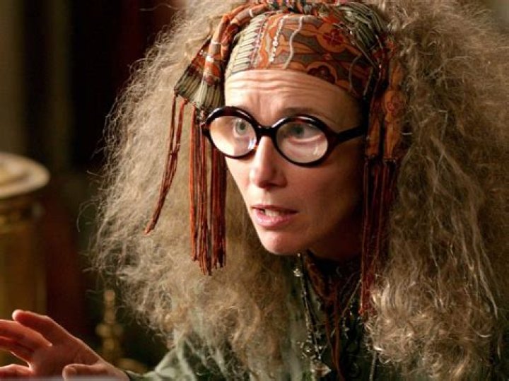 harry potter female professor