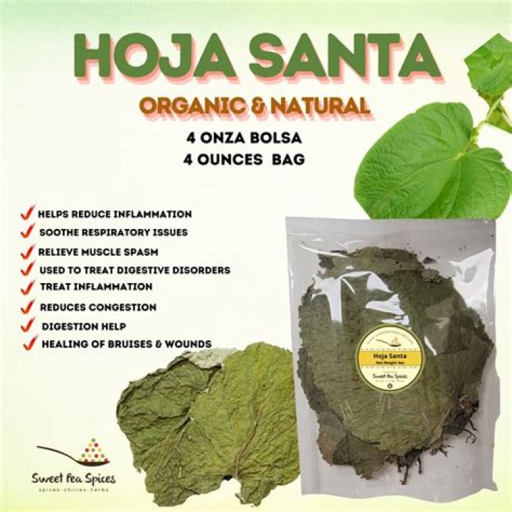hoja santa in english
