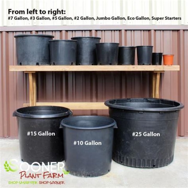 how big is a 15 gallon pot