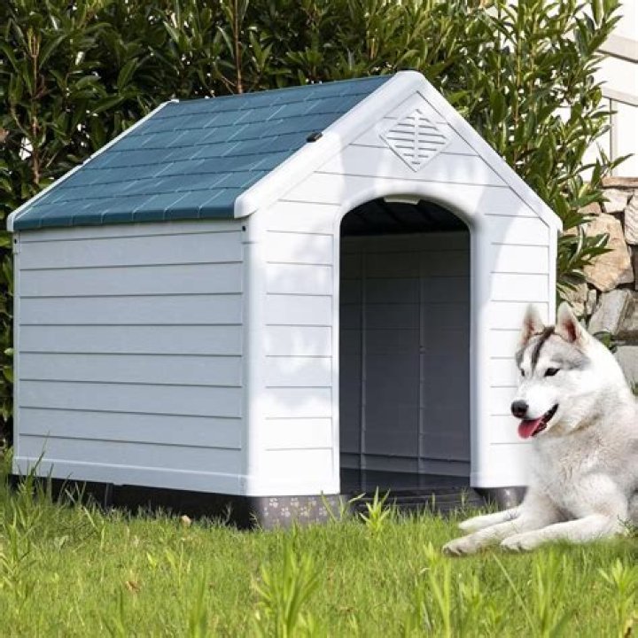 How big is a large dog house