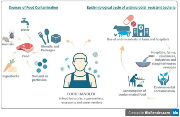 How can a food handler identify food has been contaminated with pathogens