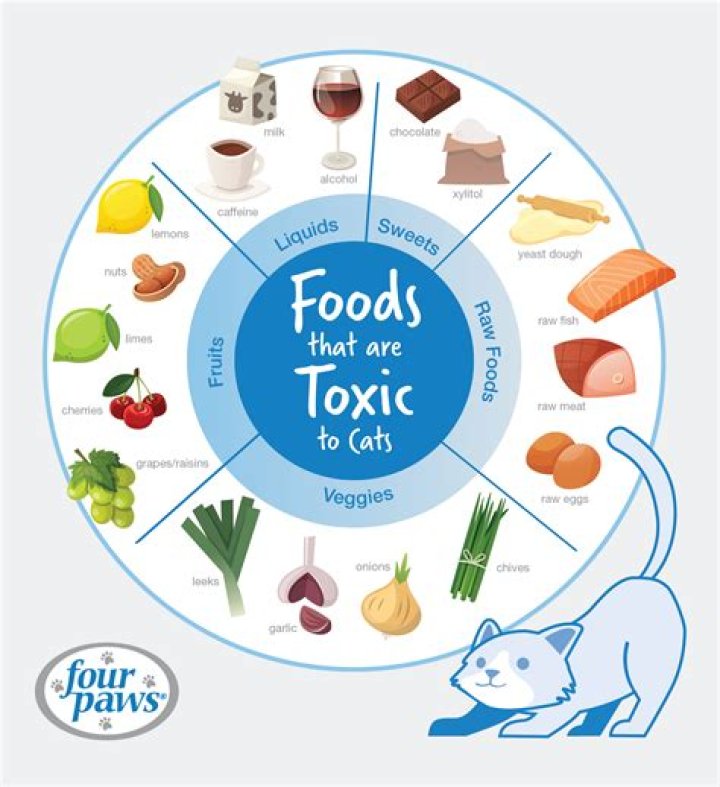 How can I eat cheap in NYC