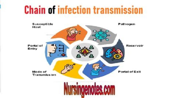 How can the transmission of fungal infections be avoided