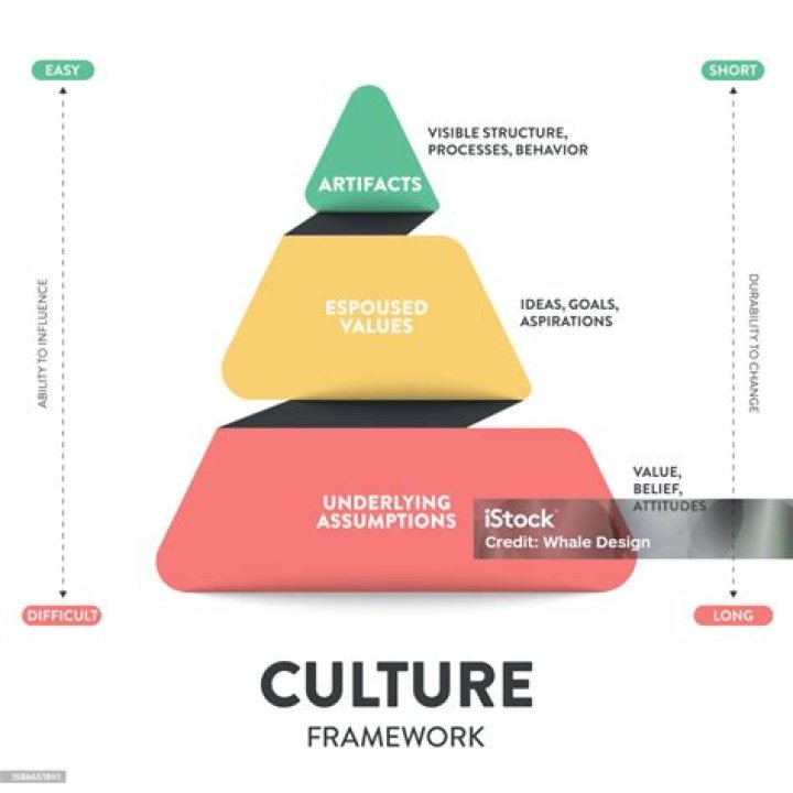 how culture affects human behaviour