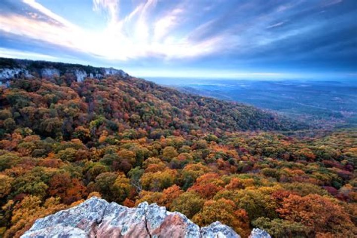 How did Hamburg Arkansas get its name?