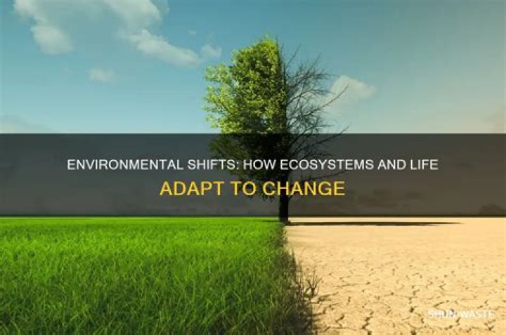 How do changes in the environment affect living things?