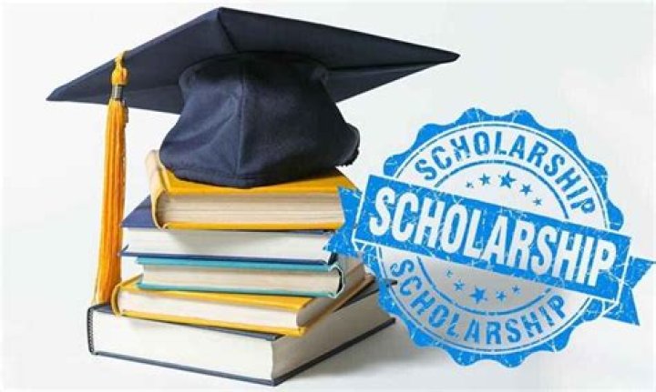How do I apply for scholarships at FIU?